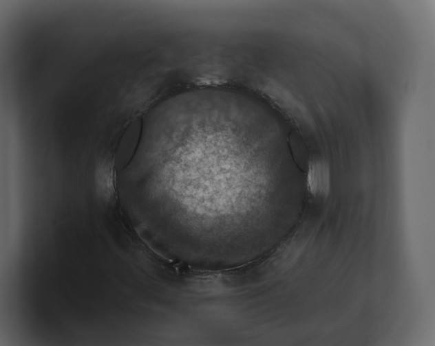 X0000100901444200807151108