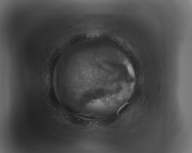 X0000100901445200807151108