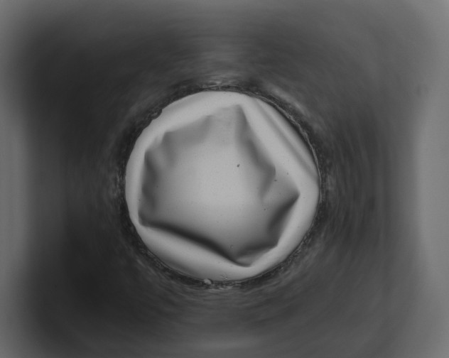 X0000100901447200807151108