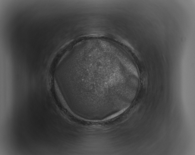 X0000100901448200807151108