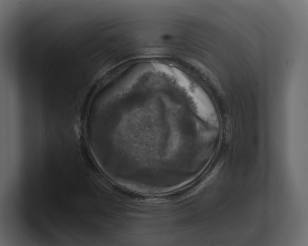 X0000100901449200807151108