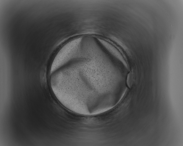 X0000100901452200807151108