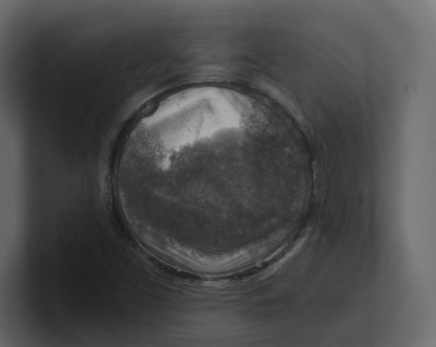 X0000100901453200807151108