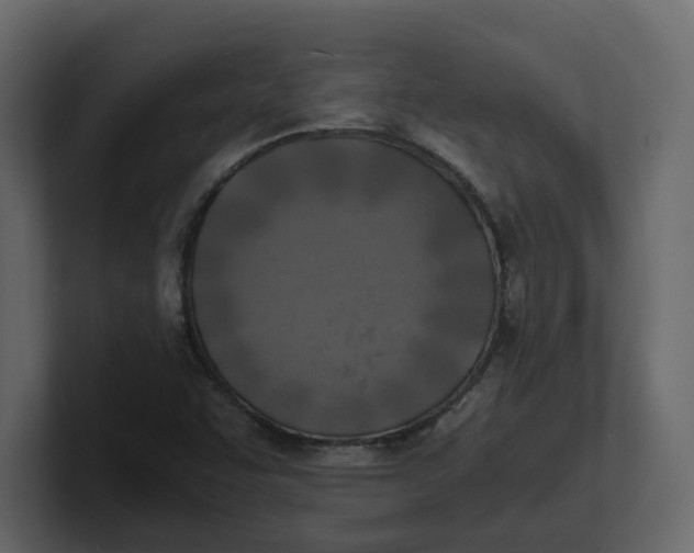 X0000100901455200807151108