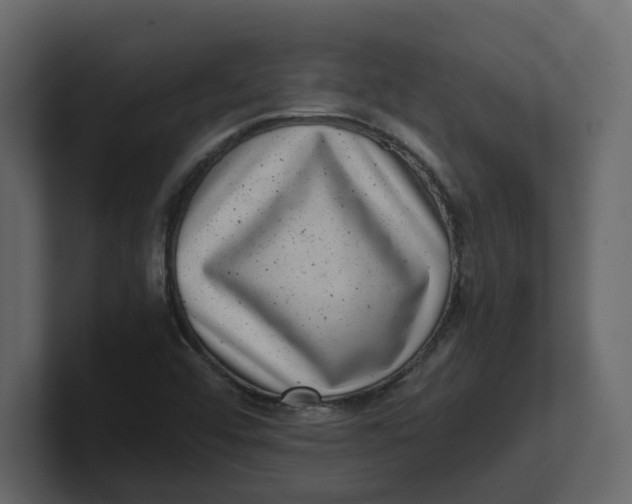 X0000100901456200807151108