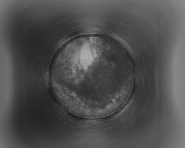 X0000100901457200807151108