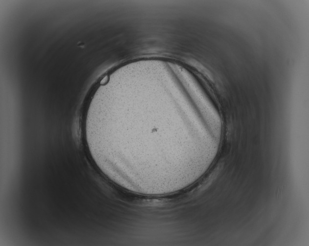 X0000100901458200807151108