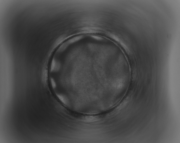 X0000100901459200807151108