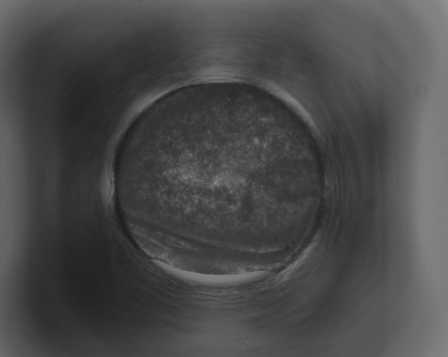 X0000100901461200807151108