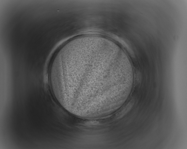 X0000100901462200807151108