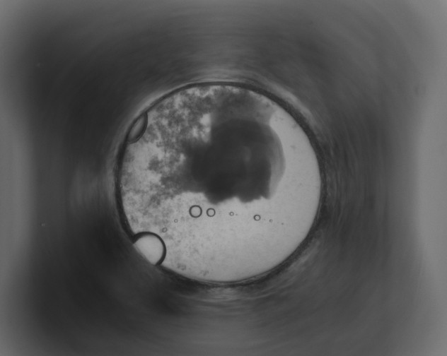 X0000100901463200807151108