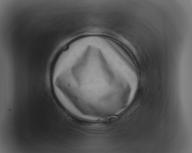 X0000100901464200807151108