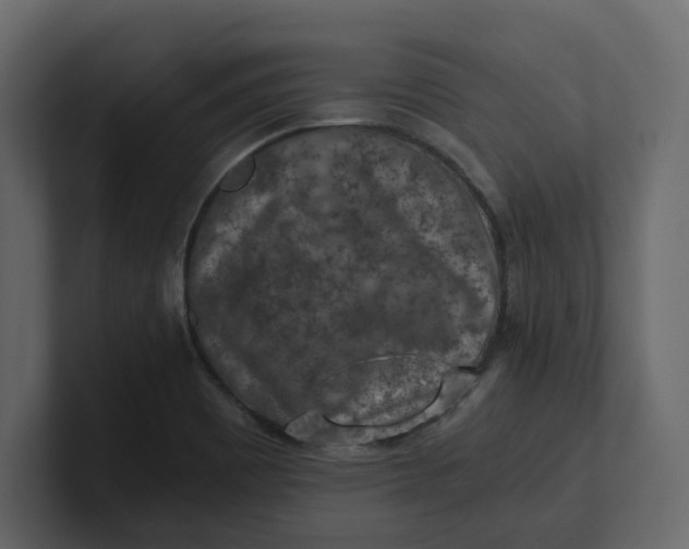 X0000100901465200807151108