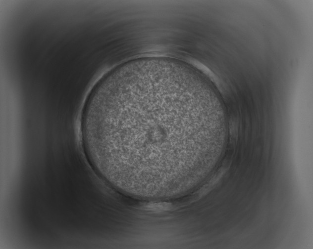 X0000100901466200807151108