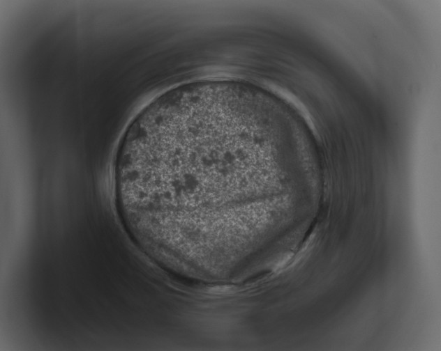 X0000100901467200807151108