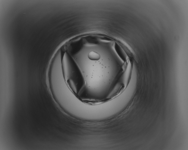 X0000100901468200807151108