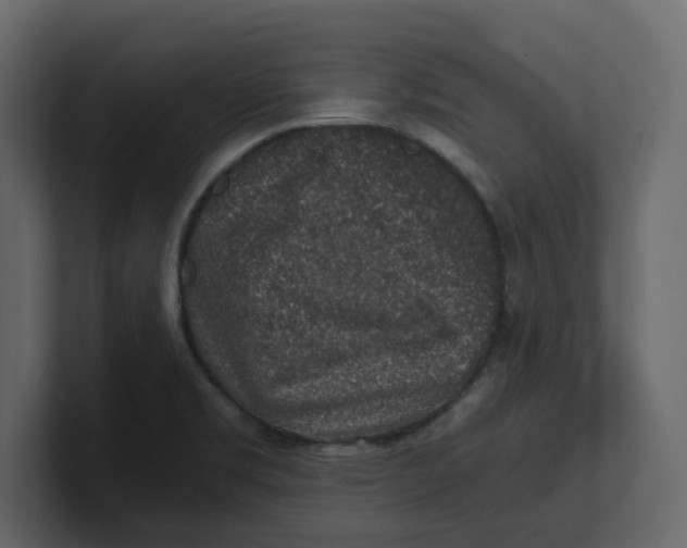 X0000100901469200807151108