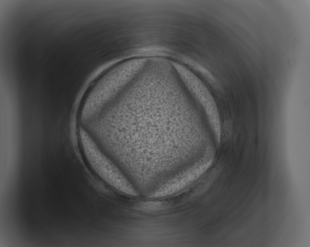 X0000100901470200807151108