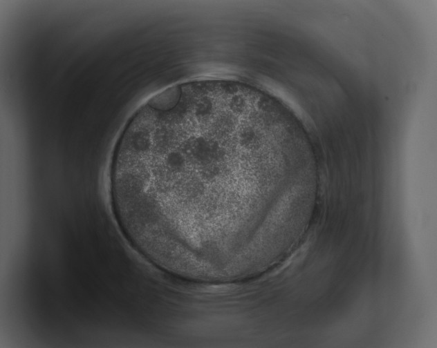 X0000100901471200807151108