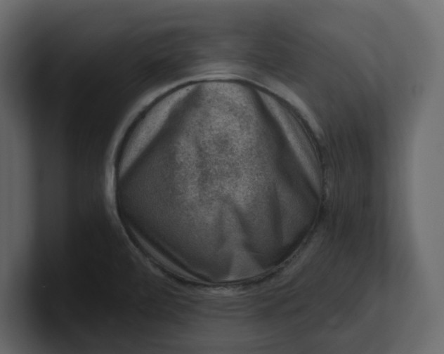 X0000100901472200807151108