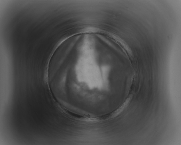 X0000100901473200807151108