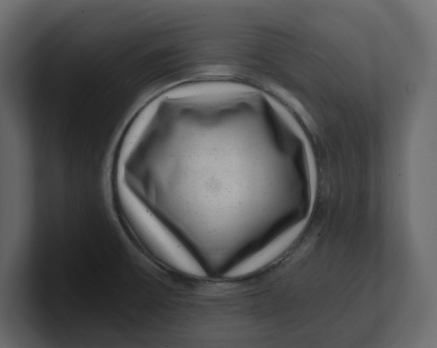 X0000100901475200807151108