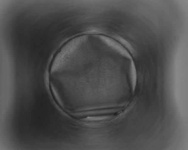 X0000100901476200807151108