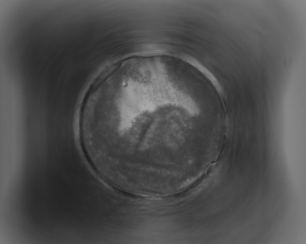 X0000100901477200807151108