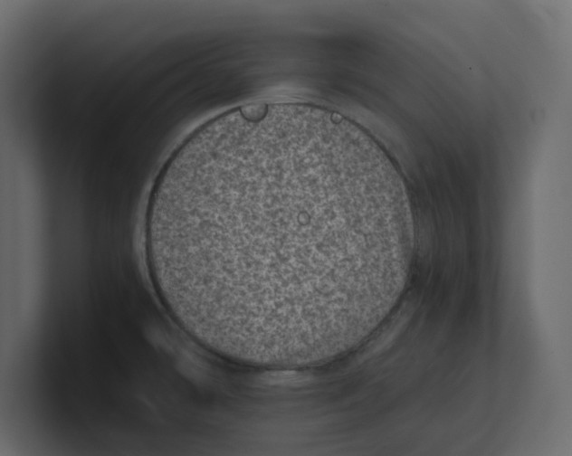 X0000100901478200807151108