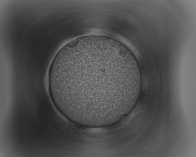 X0000100901479200807151108