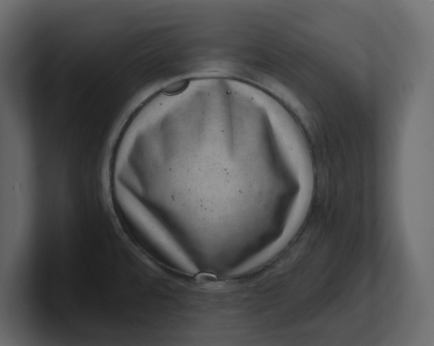 X0000100901480200807151108