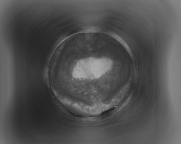 X0000100901481200807151108