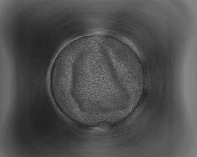 X0000100901483200807151107