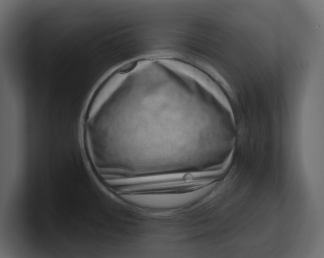 X0000100901484200807151107