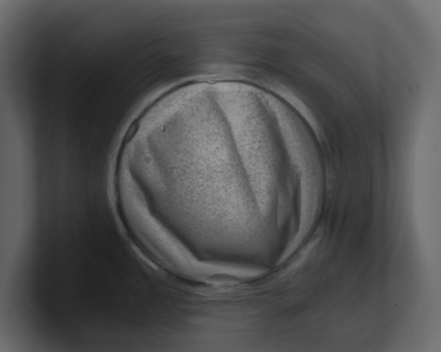 X0000100901485200807151107