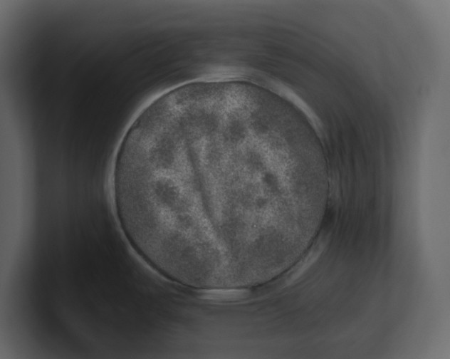 X0000100901487200807151107