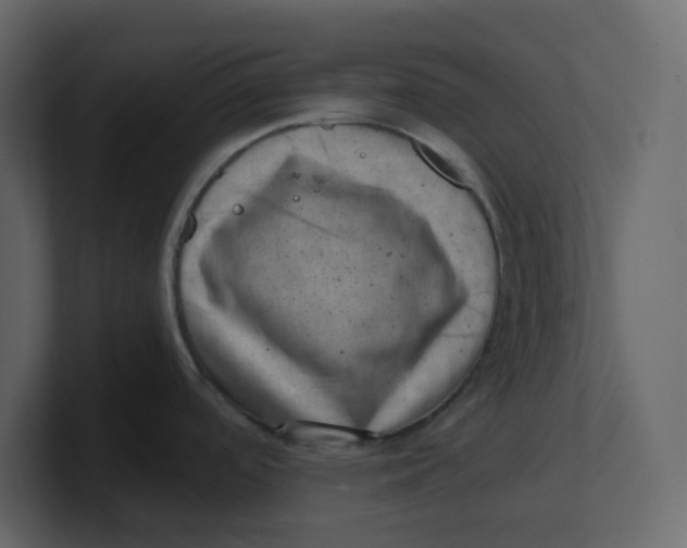 X0000100901488200807151107