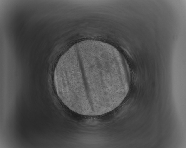 X0000100901489200807151107