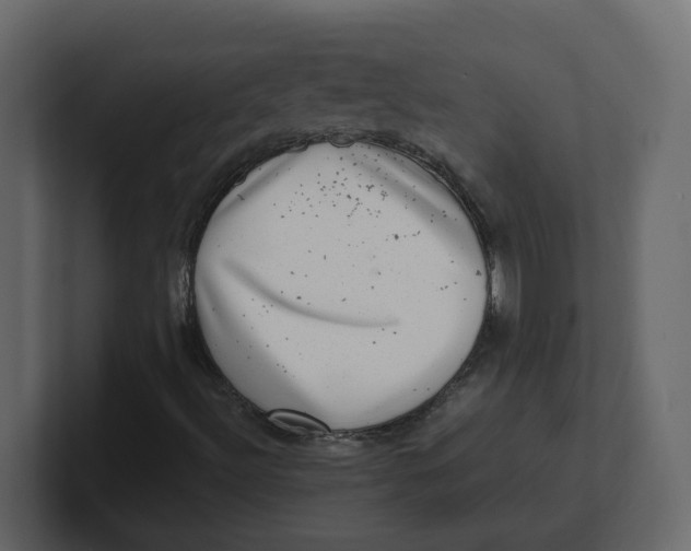 X0000100901492200807151107