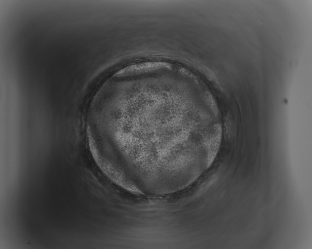 X0000100901494200807151107