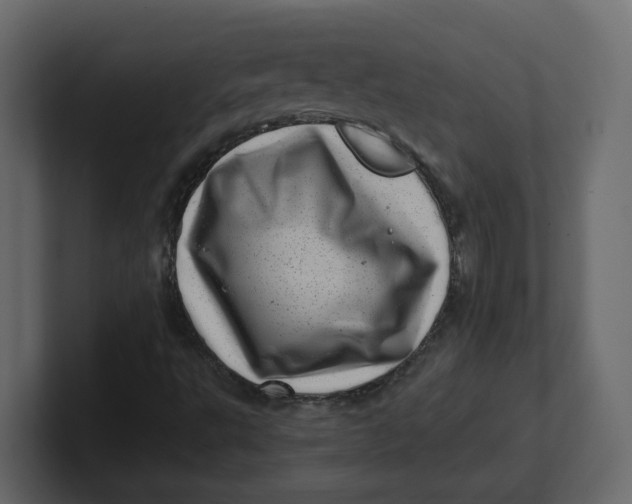 X0000100901495200807151107