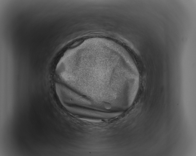 X0000100901496200807151107