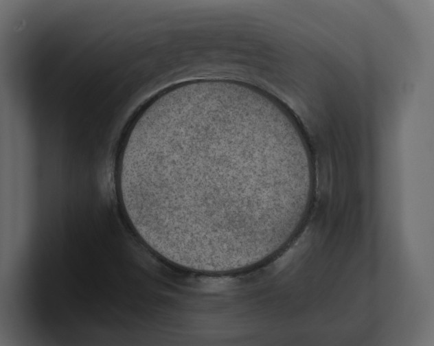 X0000100901498200807151107