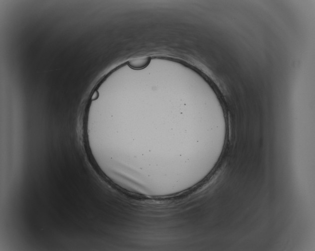 X0000100901500200807151107