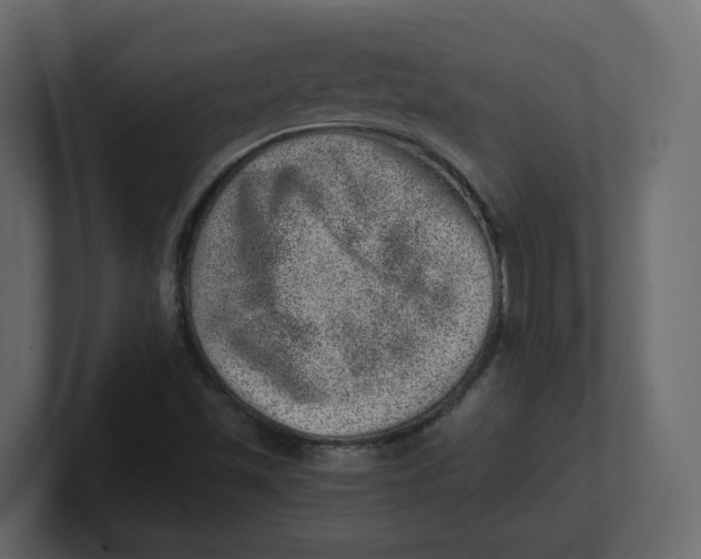 X0000100901501200807151107