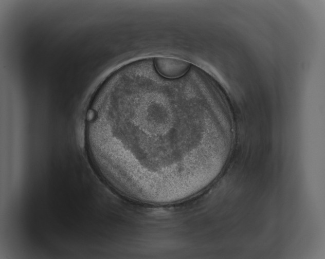 X0000100901504200807151107