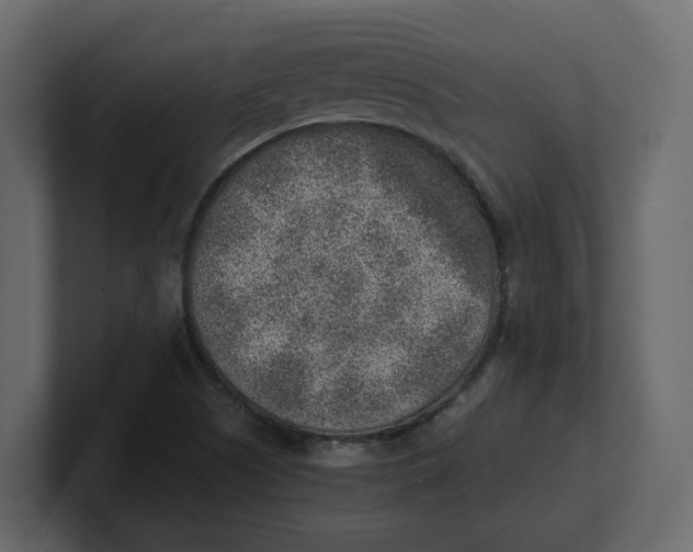 X0000100901505200807151107