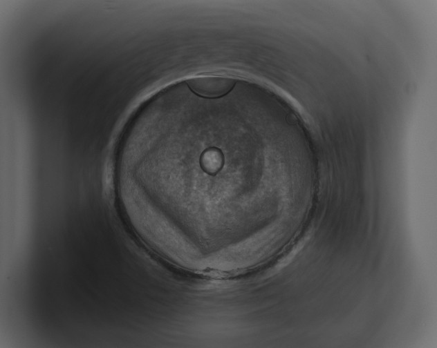 X0000100901506200807151107