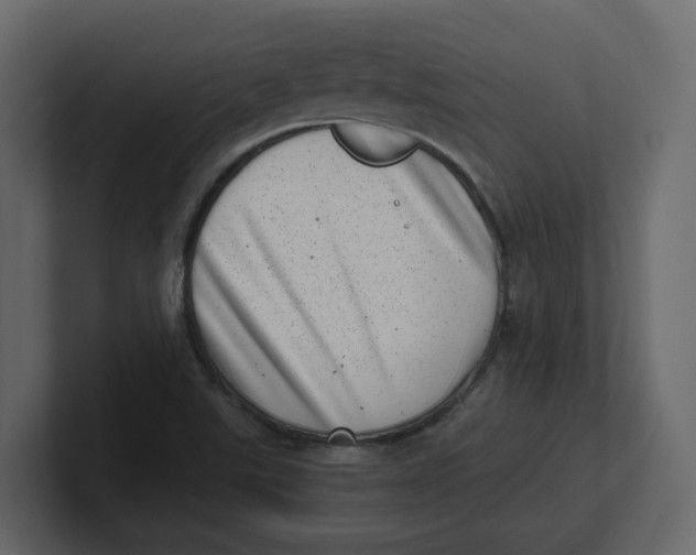 X0000100901507200807151107