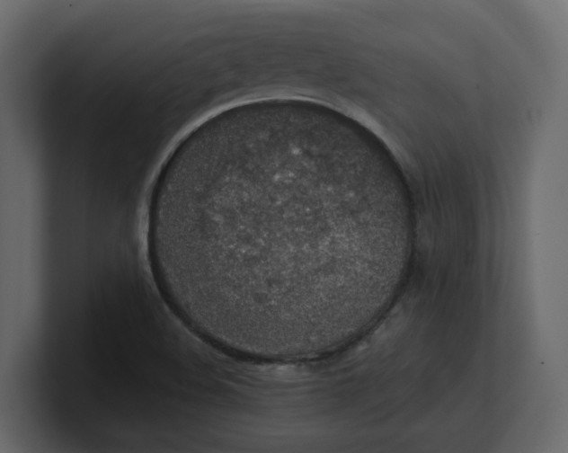 X0000100901508200807151107